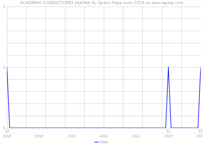 ACADEMIA CONDUCTORES SAJOMA SL (Spain) Page visits 2024 