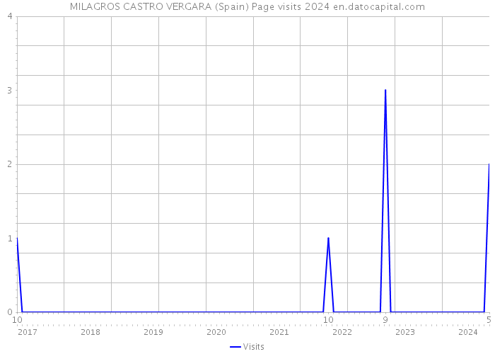 MILAGROS CASTRO VERGARA (Spain) Page visits 2024 