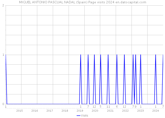 MIGUEL ANTONIO PASCUAL NADAL (Spain) Page visits 2024 