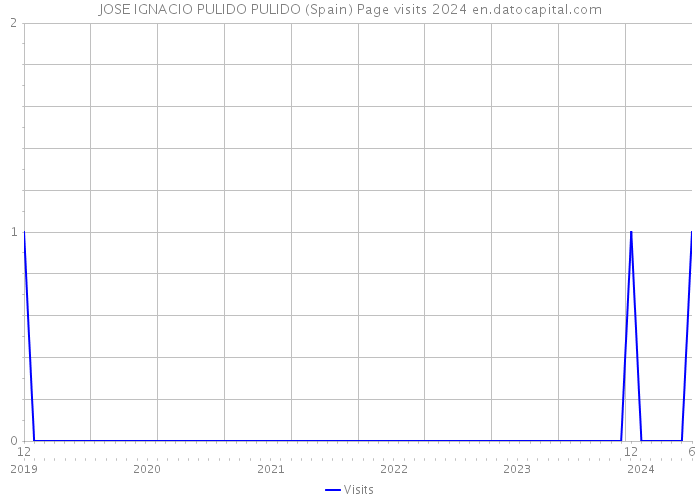 JOSE IGNACIO PULIDO PULIDO (Spain) Page visits 2024 