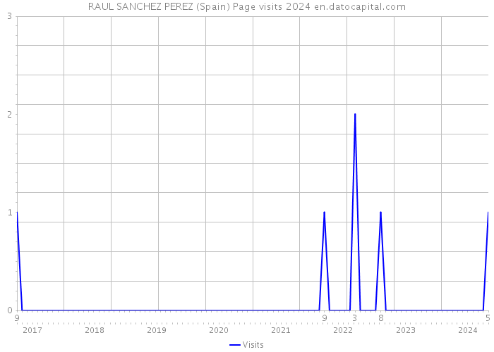 RAUL SANCHEZ PEREZ (Spain) Page visits 2024 