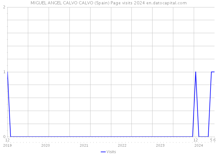 MIGUEL ANGEL CALVO CALVO (Spain) Page visits 2024 