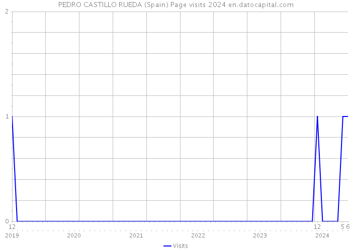 PEDRO CASTILLO RUEDA (Spain) Page visits 2024 