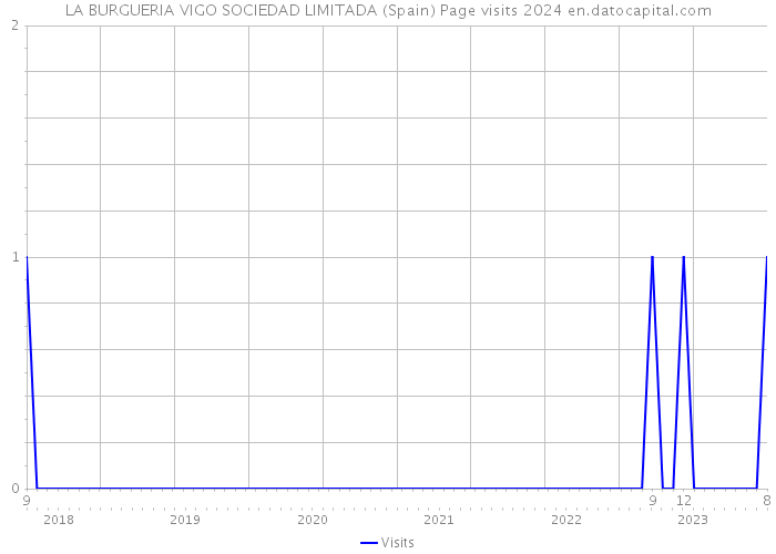 LA BURGUERIA VIGO SOCIEDAD LIMITADA (Spain) Page visits 2024 