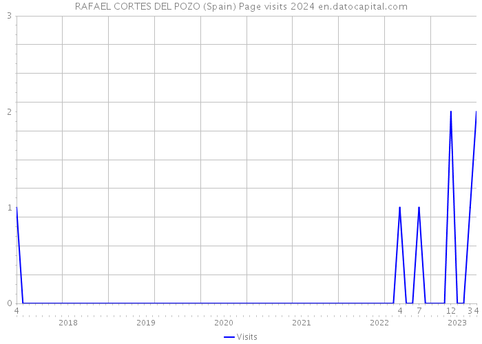RAFAEL CORTES DEL POZO (Spain) Page visits 2024 