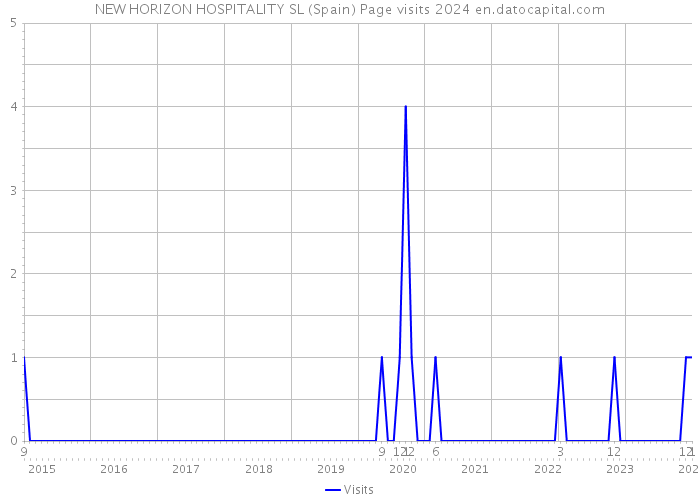 NEW HORIZON HOSPITALITY SL (Spain) Page visits 2024 