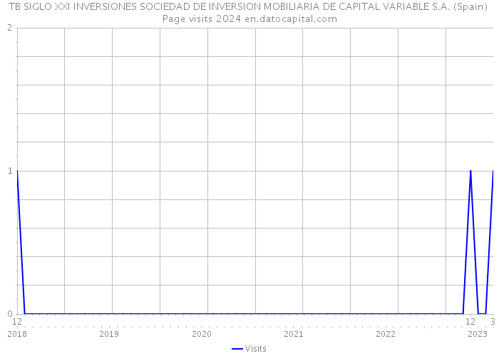 TB SIGLO XXI INVERSIONES SOCIEDAD DE INVERSION MOBILIARIA DE CAPITAL VARIABLE S.A. (Spain) Page visits 2024 