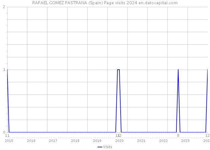 RAFAEL GOMEZ PASTRANA (Spain) Page visits 2024 