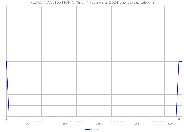 PEDRO A AGUILO MONJO (Spain) Page visits 2024 