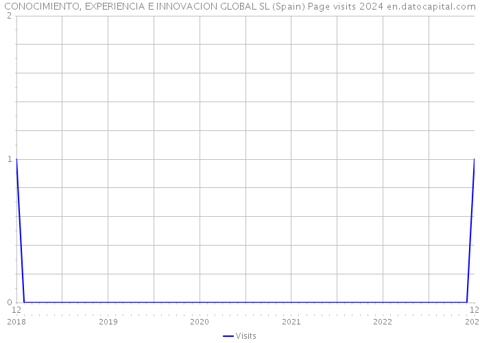 CONOCIMIENTO, EXPERIENCIA E INNOVACION GLOBAL SL (Spain) Page visits 2024 