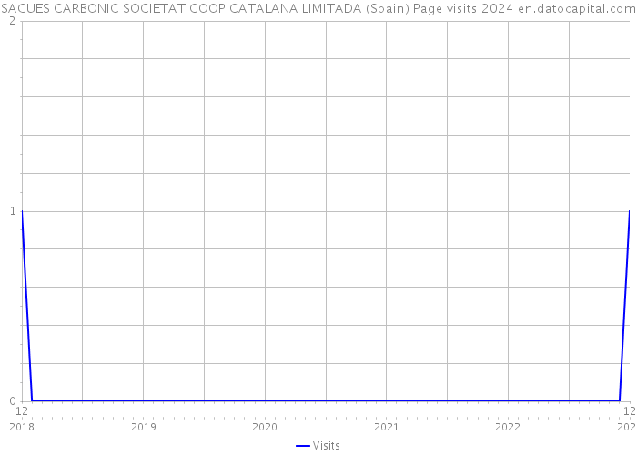 SAGUES CARBONIC SOCIETAT COOP CATALANA LIMITADA (Spain) Page visits 2024 
