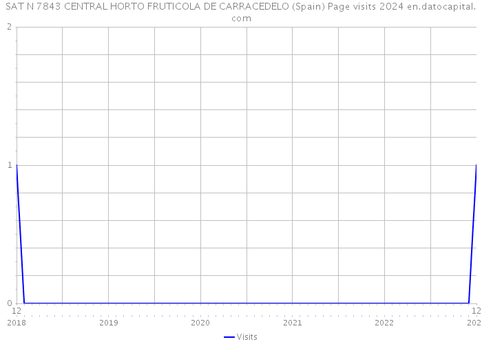 SAT N 7843 CENTRAL HORTO FRUTICOLA DE CARRACEDELO (Spain) Page visits 2024 