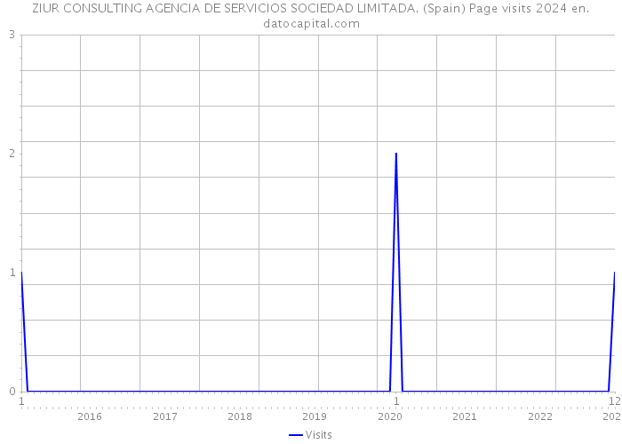ZIUR CONSULTING AGENCIA DE SERVICIOS SOCIEDAD LIMITADA. (Spain) Page visits 2024 
