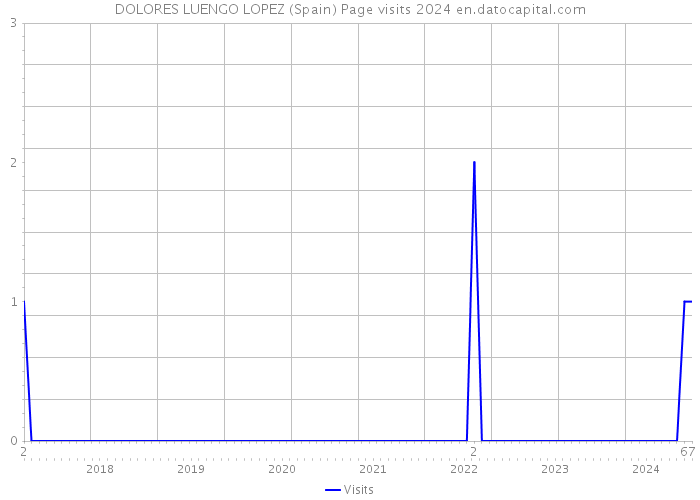 DOLORES LUENGO LOPEZ (Spain) Page visits 2024 