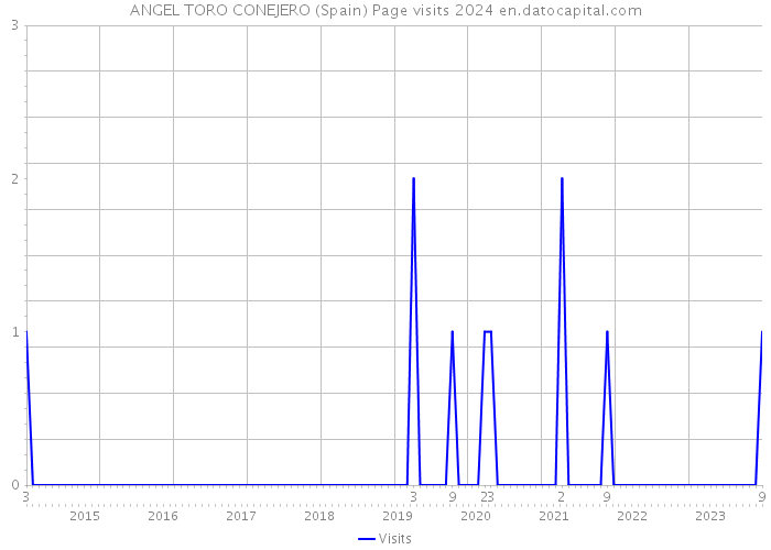 ANGEL TORO CONEJERO (Spain) Page visits 2024 