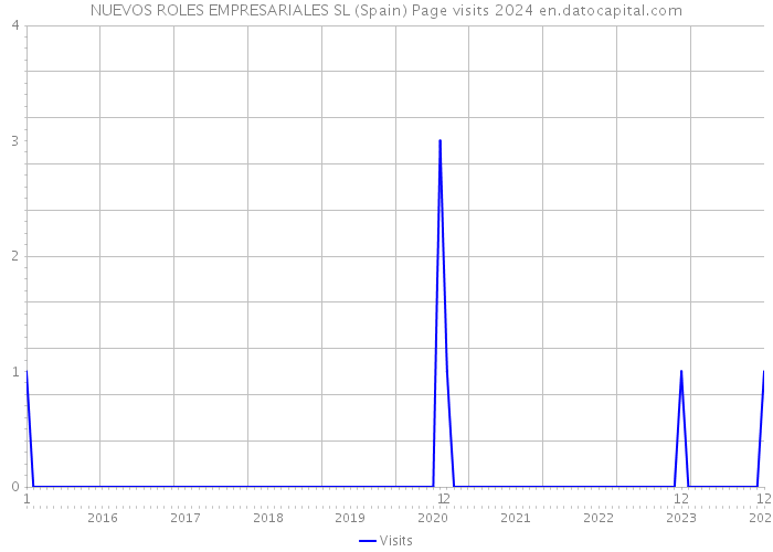 NUEVOS ROLES EMPRESARIALES SL (Spain) Page visits 2024 