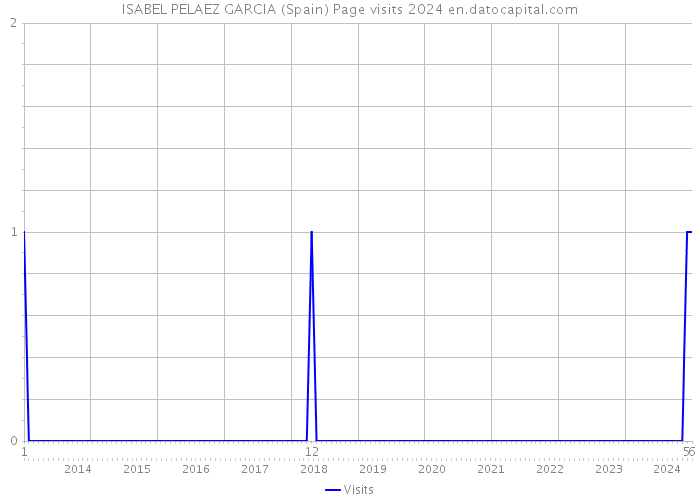 ISABEL PELAEZ GARCIA (Spain) Page visits 2024 