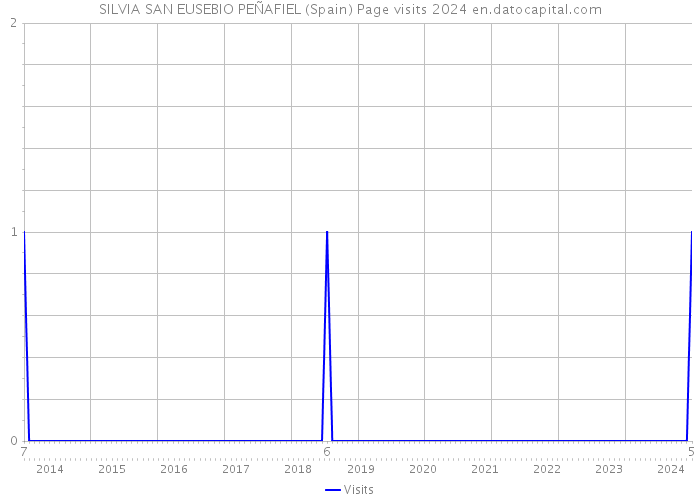 SILVIA SAN EUSEBIO PEÑAFIEL (Spain) Page visits 2024 