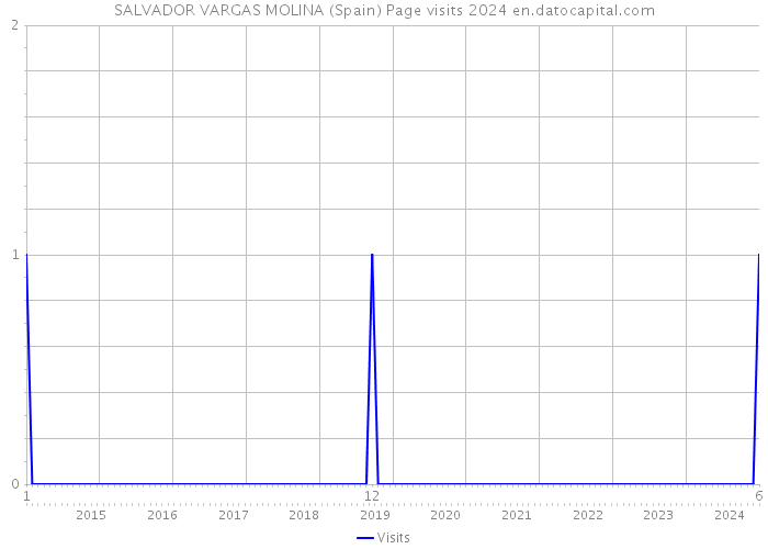 SALVADOR VARGAS MOLINA (Spain) Page visits 2024 