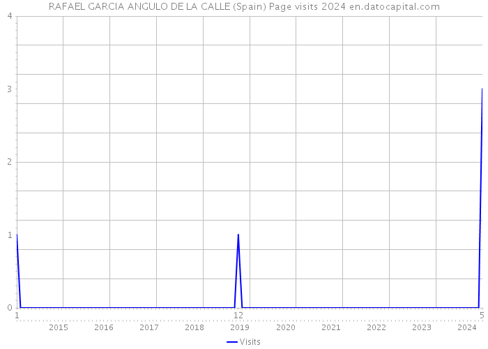 RAFAEL GARCIA ANGULO DE LA CALLE (Spain) Page visits 2024 