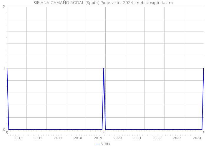 BIBIANA CAMAÑO RODAL (Spain) Page visits 2024 