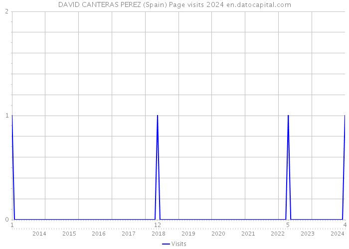 DAVID CANTERAS PEREZ (Spain) Page visits 2024 