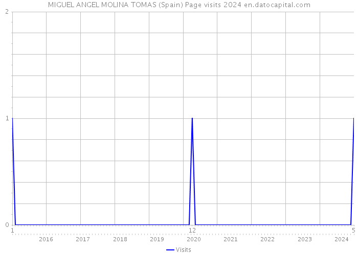 MIGUEL ANGEL MOLINA TOMAS (Spain) Page visits 2024 