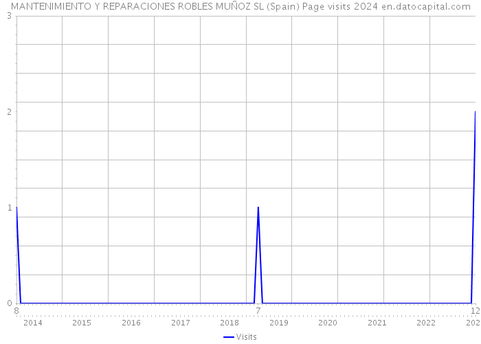 MANTENIMIENTO Y REPARACIONES ROBLES MUÑOZ SL (Spain) Page visits 2024 