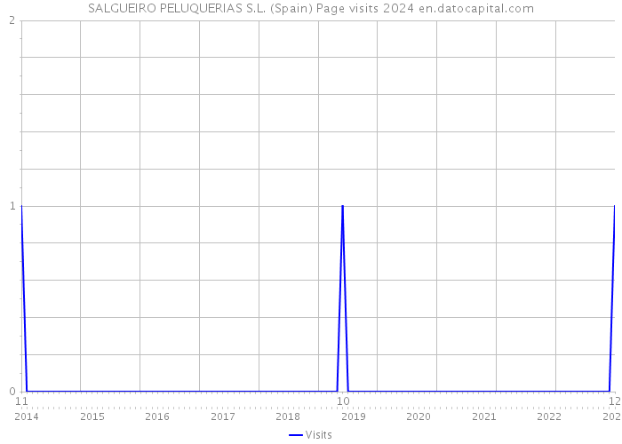 SALGUEIRO PELUQUERIAS S.L. (Spain) Page visits 2024 