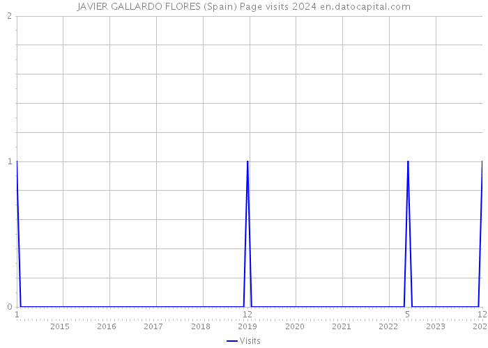 JAVIER GALLARDO FLORES (Spain) Page visits 2024 