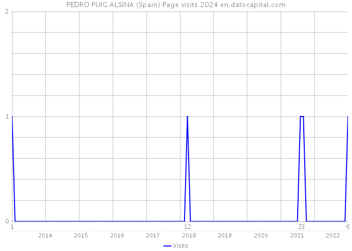 PEDRO PUIG ALSINA (Spain) Page visits 2024 