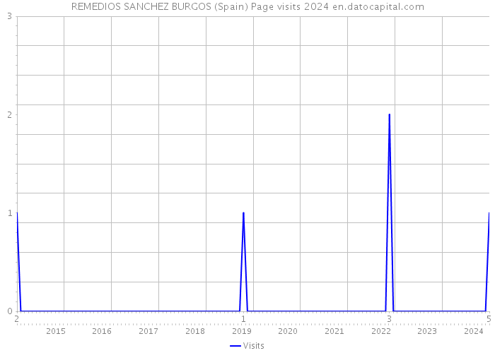 REMEDIOS SANCHEZ BURGOS (Spain) Page visits 2024 