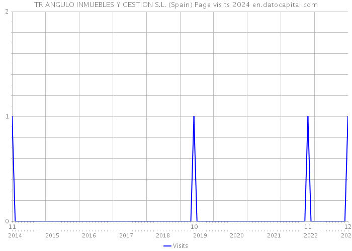 TRIANGULO INMUEBLES Y GESTION S.L. (Spain) Page visits 2024 