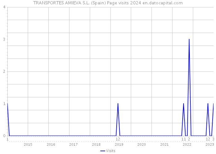 TRANSPORTES AMIEVA S.L. (Spain) Page visits 2024 