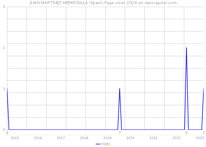 JUAN MARTINEZ HERMOSILLA (Spain) Page visits 2024 
