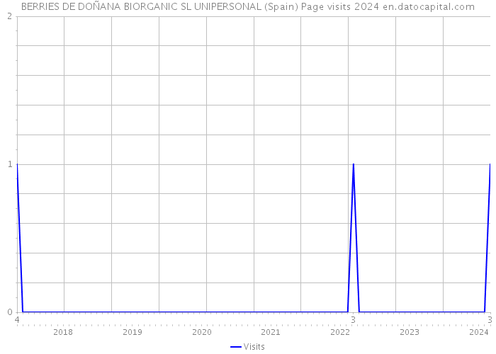 BERRIES DE DOÑANA BIORGANIC SL UNIPERSONAL (Spain) Page visits 2024 