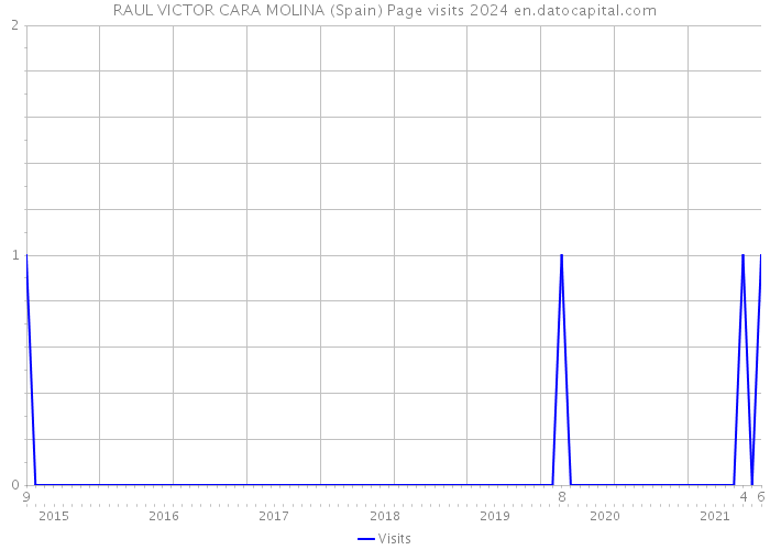 RAUL VICTOR CARA MOLINA (Spain) Page visits 2024 