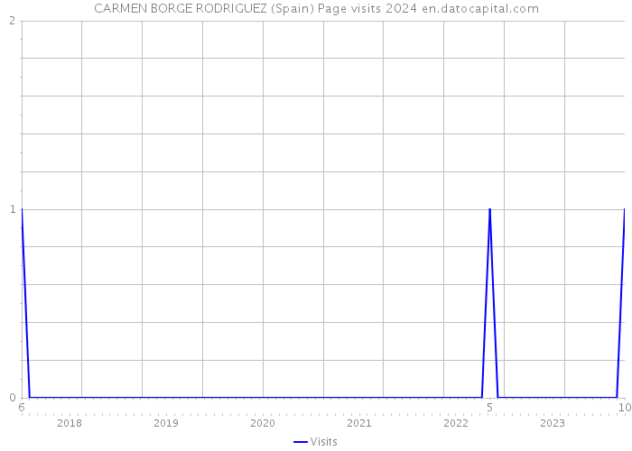 CARMEN BORGE RODRIGUEZ (Spain) Page visits 2024 