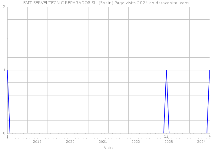 BMT SERVEI TECNIC REPARADOR SL. (Spain) Page visits 2024 