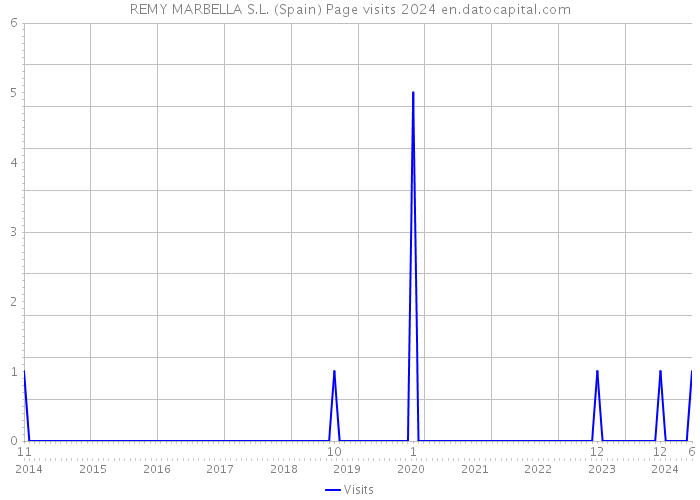 REMY MARBELLA S.L. (Spain) Page visits 2024 