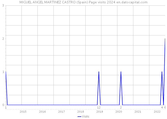 MIGUEL ANGEL MARTINEZ CASTRO (Spain) Page visits 2024 