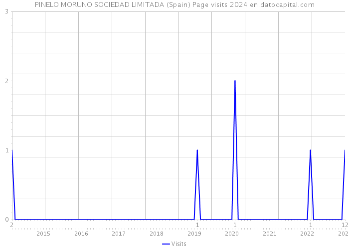 PINELO MORUNO SOCIEDAD LIMITADA (Spain) Page visits 2024 