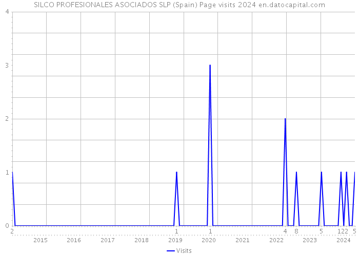 SILCO PROFESIONALES ASOCIADOS SLP (Spain) Page visits 2024 