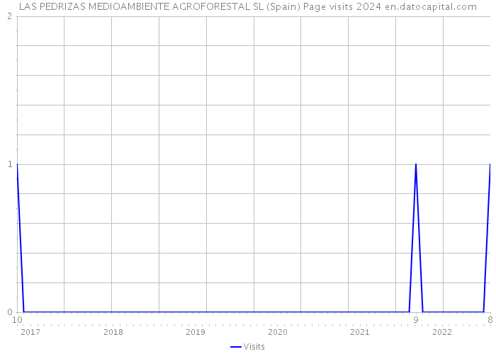 LAS PEDRIZAS MEDIOAMBIENTE AGROFORESTAL SL (Spain) Page visits 2024 