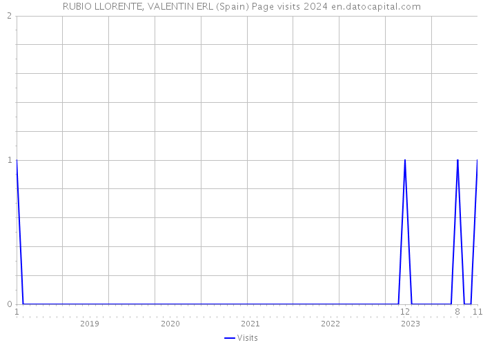 RUBIO LLORENTE, VALENTIN ERL (Spain) Page visits 2024 