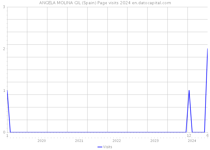ANGELA MOLINA GIL (Spain) Page visits 2024 