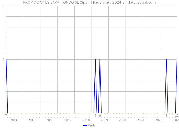 PROMOCIONES LARA HONDO SL (Spain) Page visits 2024 