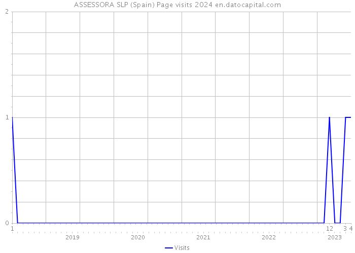 ASSESSORA SLP (Spain) Page visits 2024 
