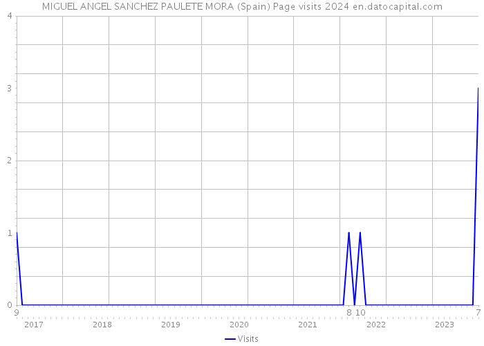 MIGUEL ANGEL SANCHEZ PAULETE MORA (Spain) Page visits 2024 