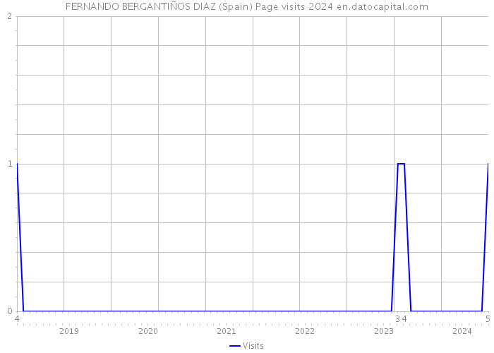 FERNANDO BERGANTIÑOS DIAZ (Spain) Page visits 2024 